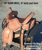 Len Brown's BORN MULE SADDLE