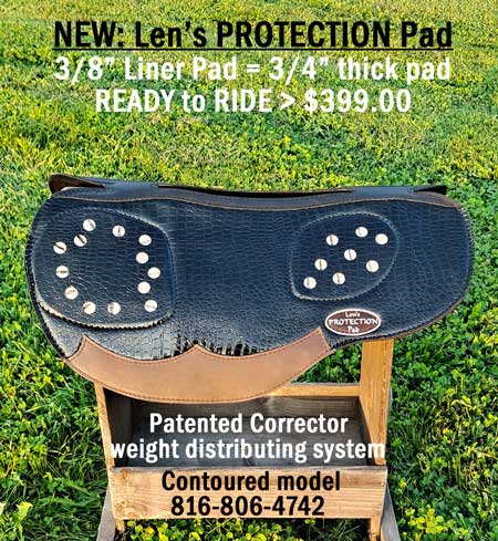 Len's Contoured PROTECTION PAD