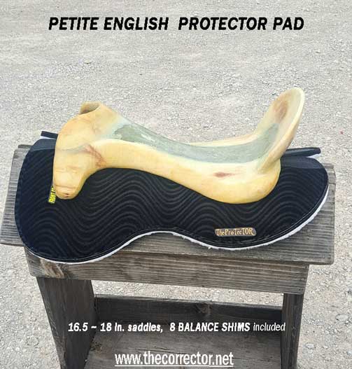 Petite English ProTecTOR®
