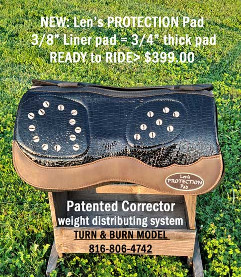 Len's PROTECTION BARREL SADDLE PAD