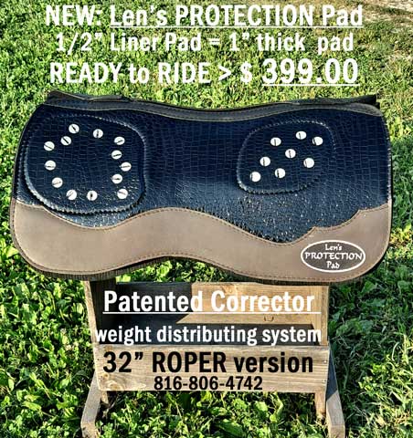 Len's PROTECTION ROPER Pad