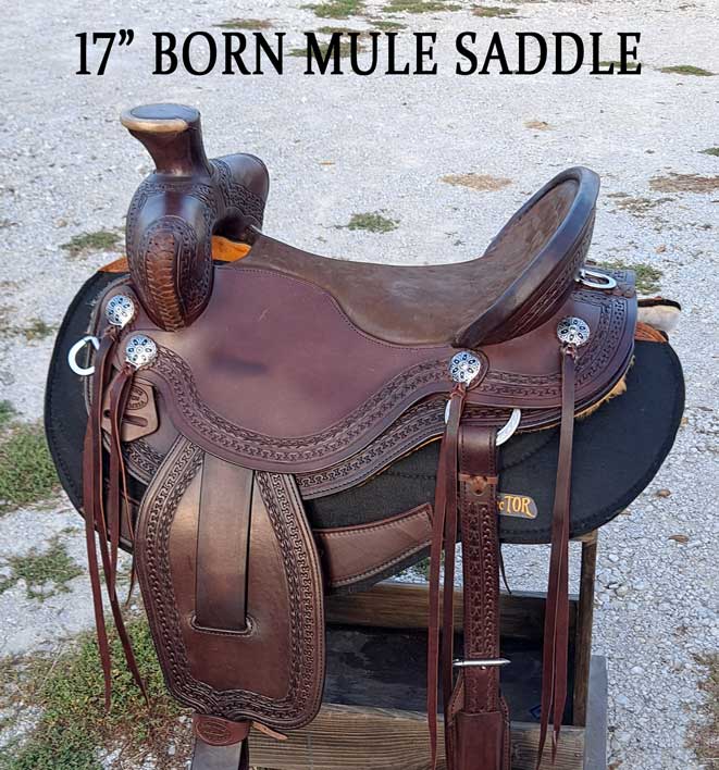 Len Brown's BORN MULE SADDLE