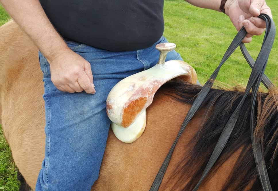 GET DOWN ROPER SADDLE